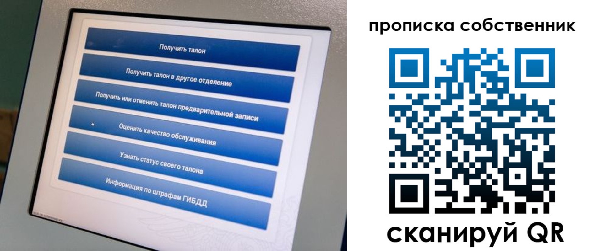 прописка поиск в Никольске